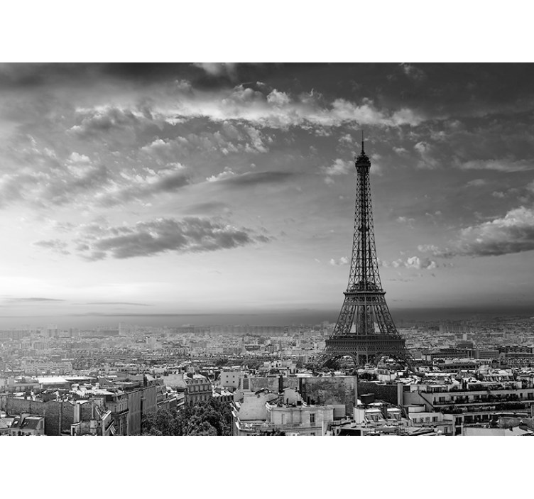 Fotomurais cidades e países Torre eiffel preto e branco - TenStickers