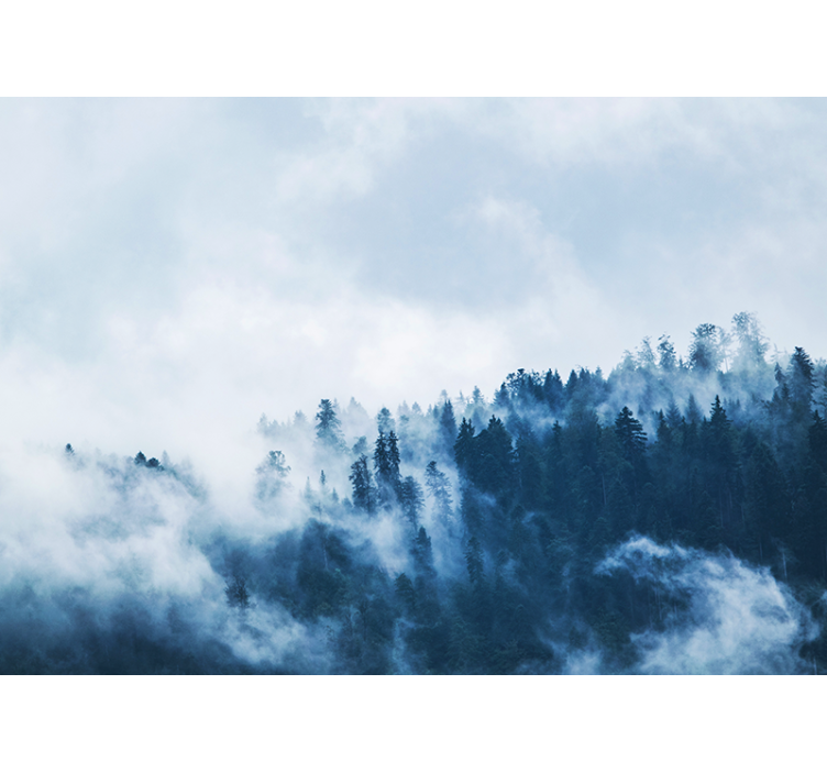 Fotomurais de paisagens Floresta de nevoeiro azul - TenStickers