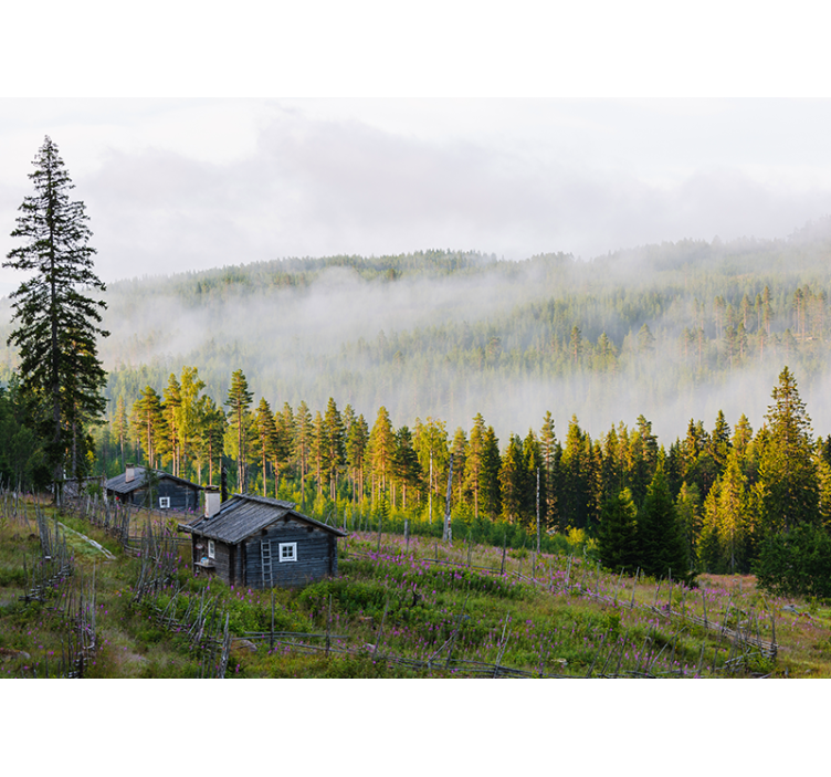 Fotomurais de paisagens Floresta nublada colorida - TenStickers