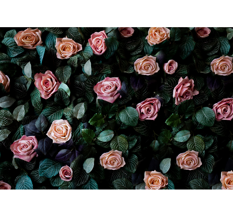 Fotomurais flores Rosas cor de rosa - TenStickers