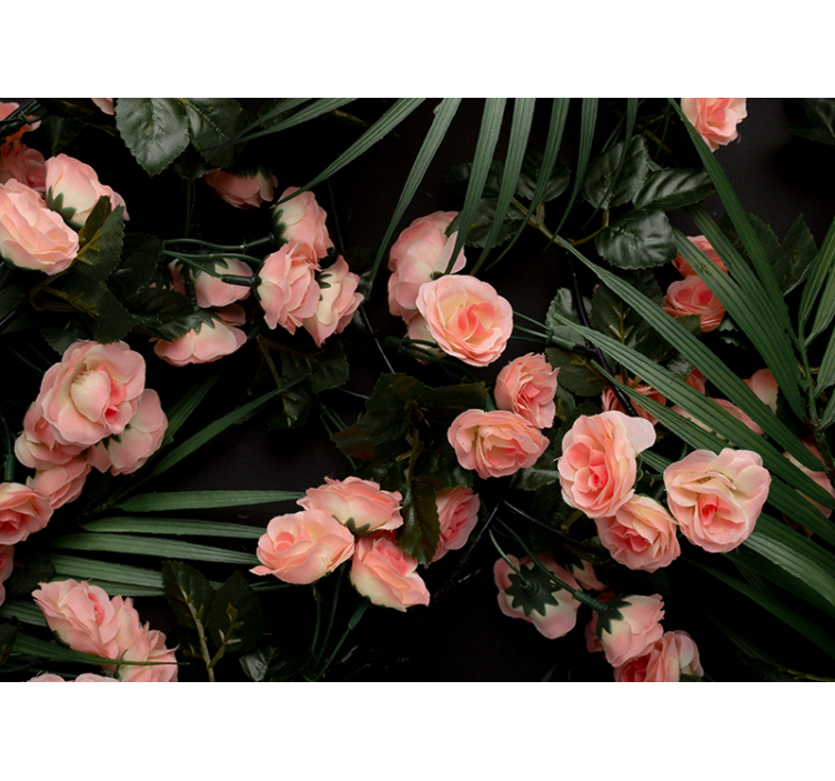 Fotomurais flores rosas rosa suaves - TenStickers