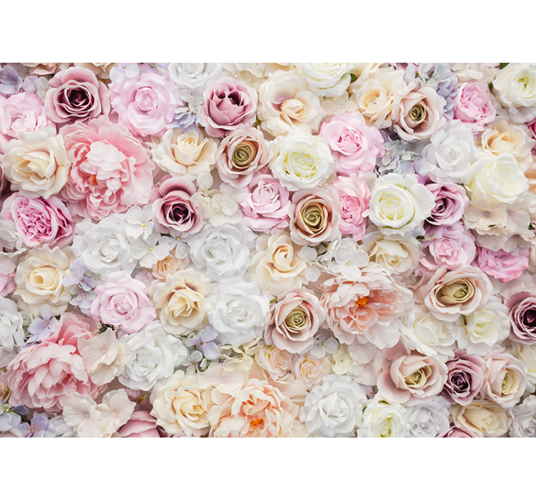 Fotomurais flores Lindo fundo de rosas - TenStickers