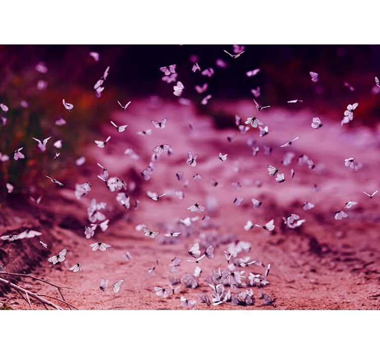 Fotomurais flores Borboleta de repolho branco - TenStickers