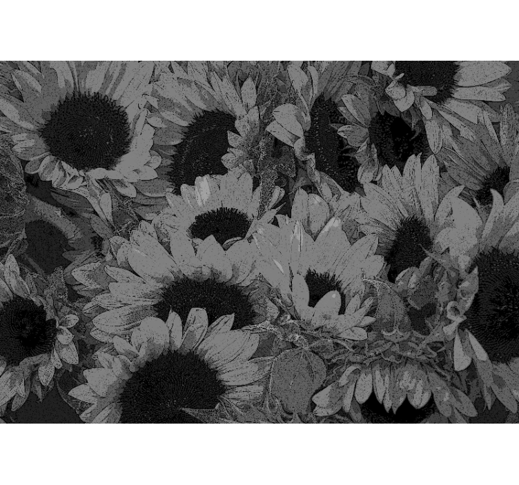 Fotomurais flores Girassol preto e branco - TenStickers
