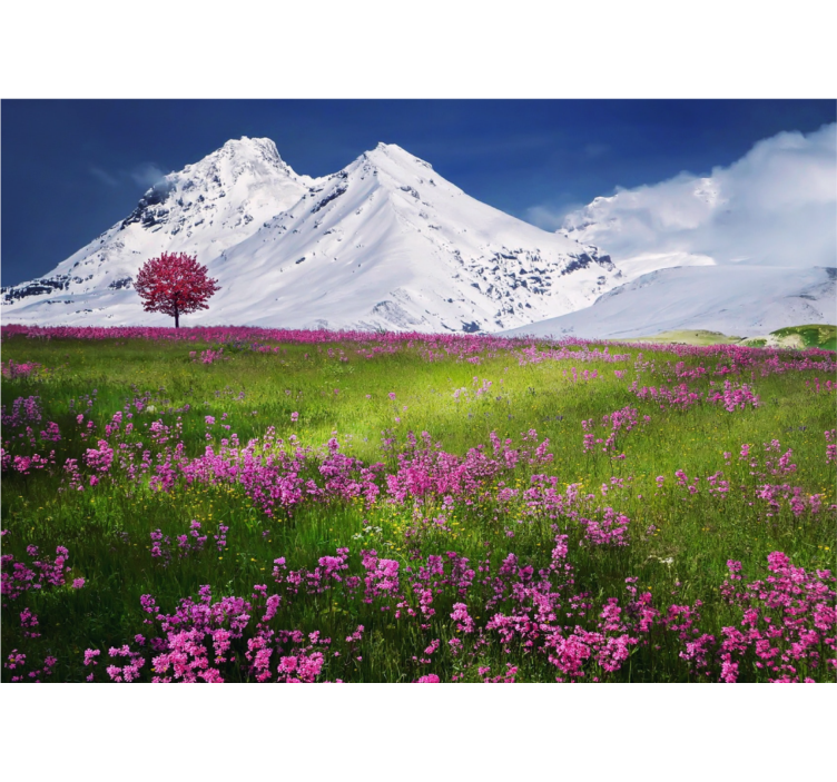 Fotomurais cidades e países Canteiro de flores norueguês - TenStickers
