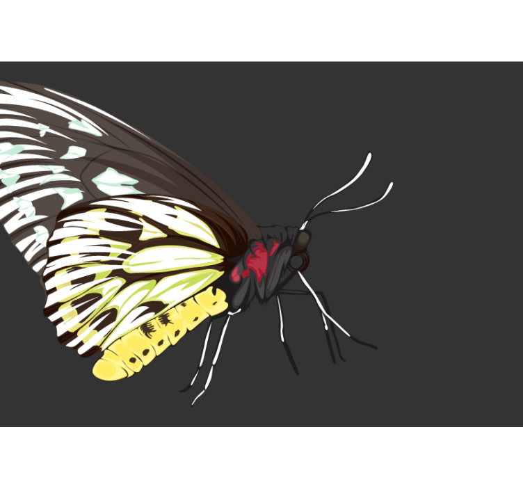 Fotomurais flores desenho de borboleta amarela - TenStickers