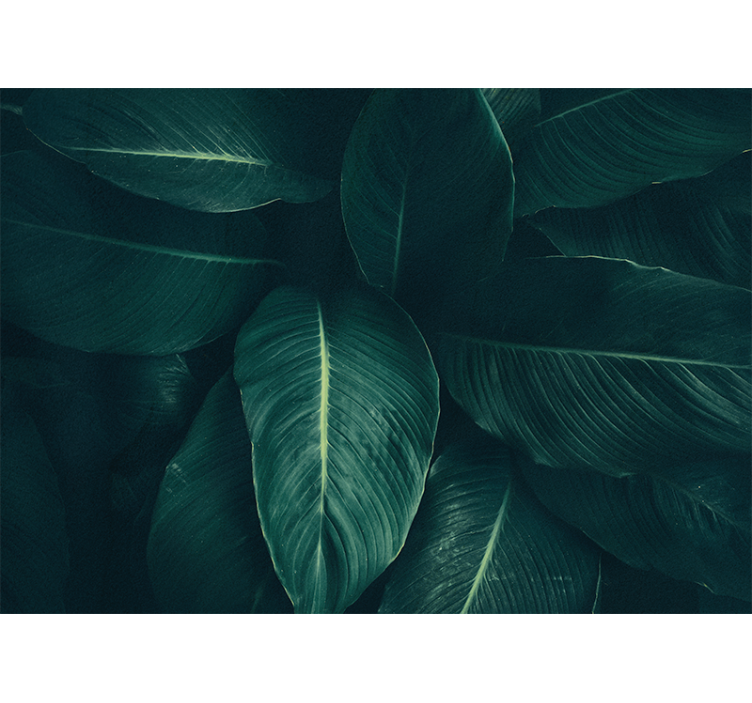 Mural de parede natureza textura folhosa luxuriante - TenStickers