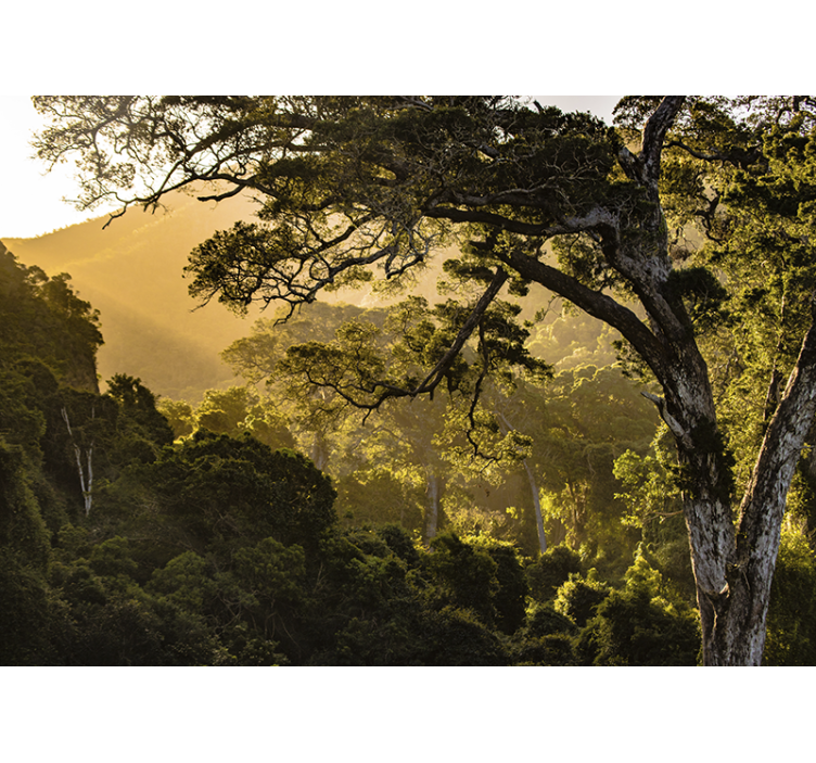 Mural de parede natureza paisagem florestal verdejante - TenStickers