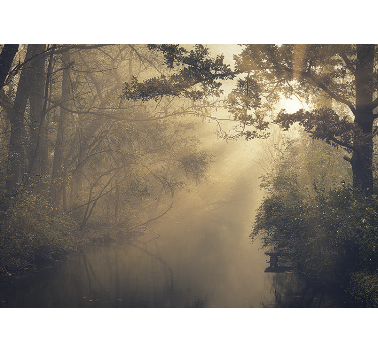 Mural de parede natureza paisagem da floresta luminosa - TenStickers