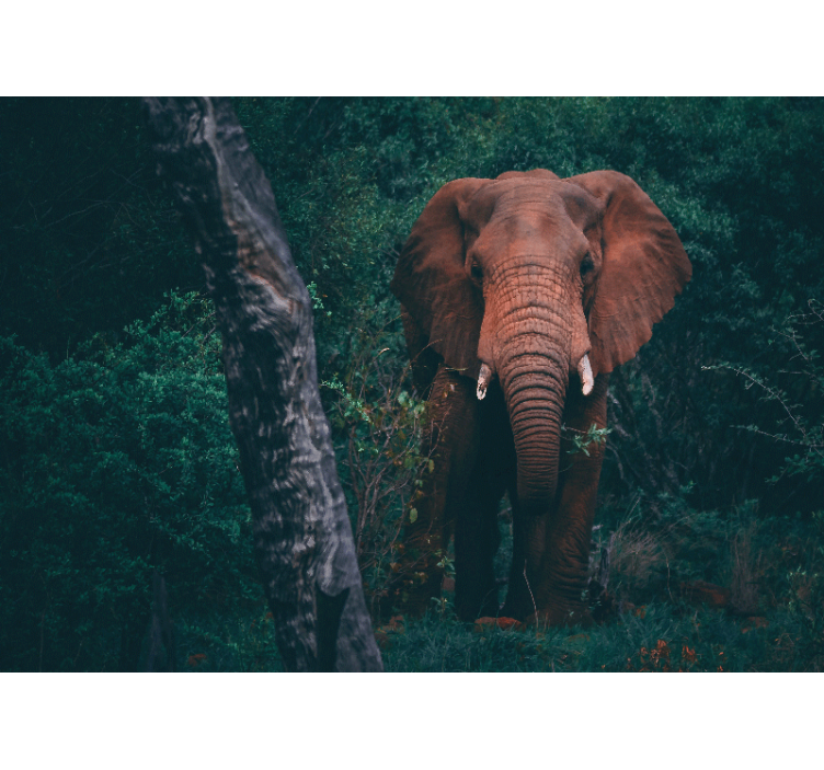 Fotomurais de paisagens íon mamute marrom na selva - TenStickers