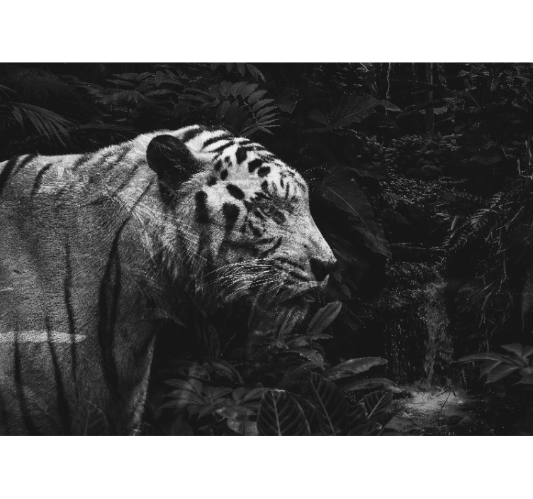 Mural de parede animais majestoso tigre branco - TenStickers