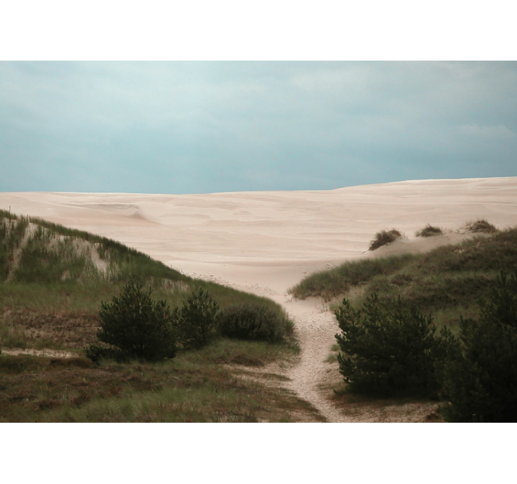Fotomurais de paisagens caminho das dunas de areia - TenStickers