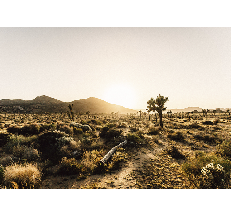 Fotomurais de paisagens Fascinante produtode deserto - TenStickers