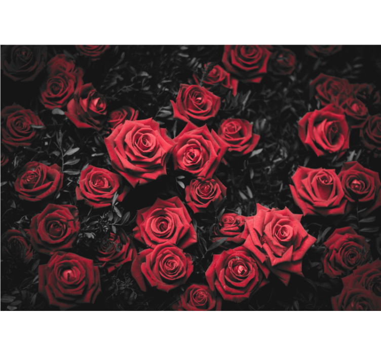 Fotomurais flores Rosas vermelhas pretas e brancas - TenStickers