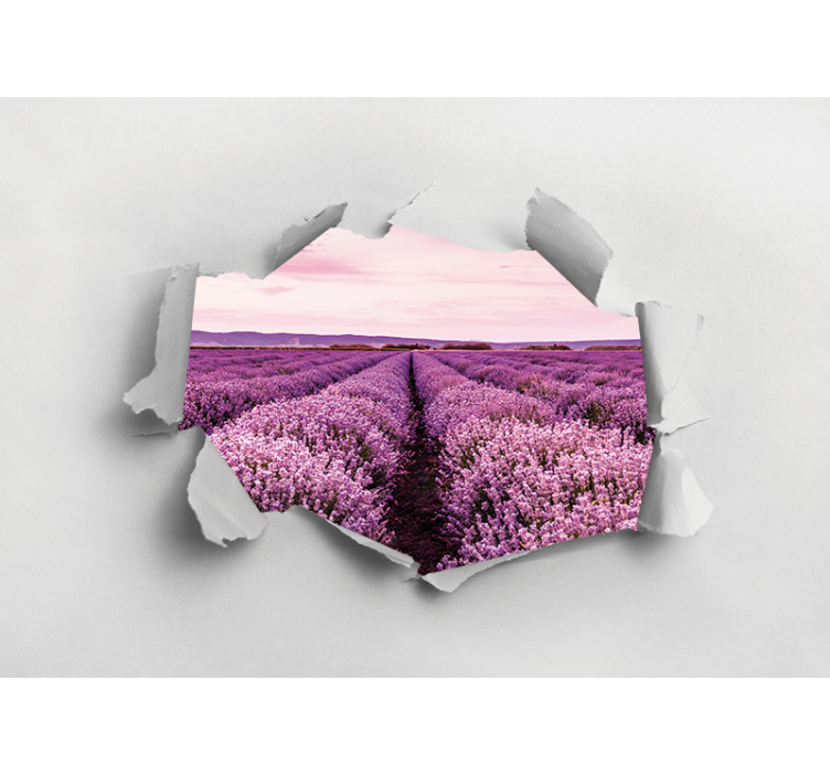Fotomurais flores campo de lavanda - TenStickers