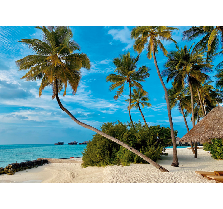 Fotomurais flores Coqueiro na praia - TenStickers