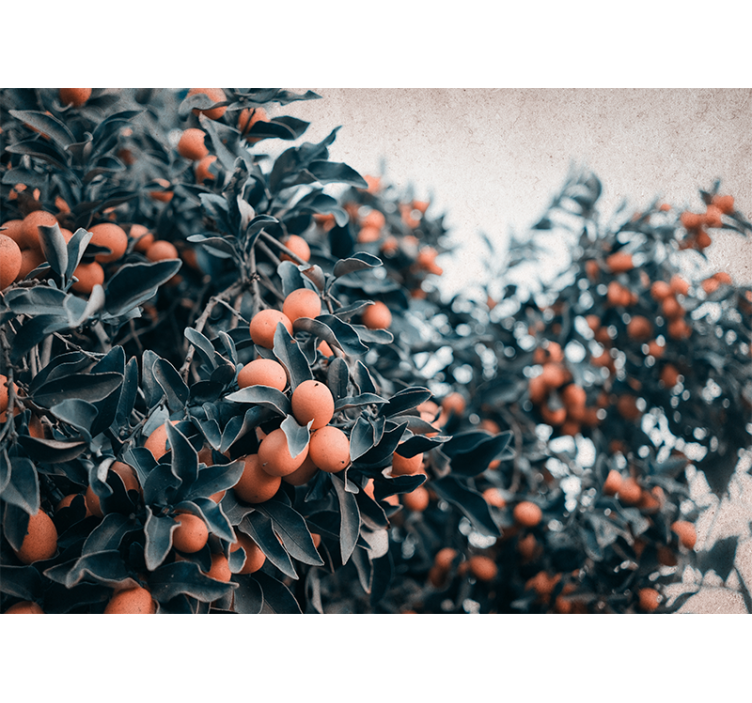 Fotomurais flores ramos de frutas cítricas - TenStickers