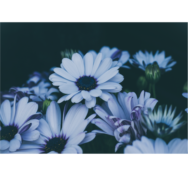 Fotomurais flores arranjo floral sereno - TenStickers