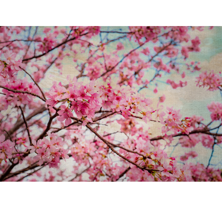Fotomurais flores ramos de sakura - TenStickers