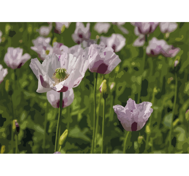 Fotomurais flores Papoulas rosa em um campo verde - TenStickers