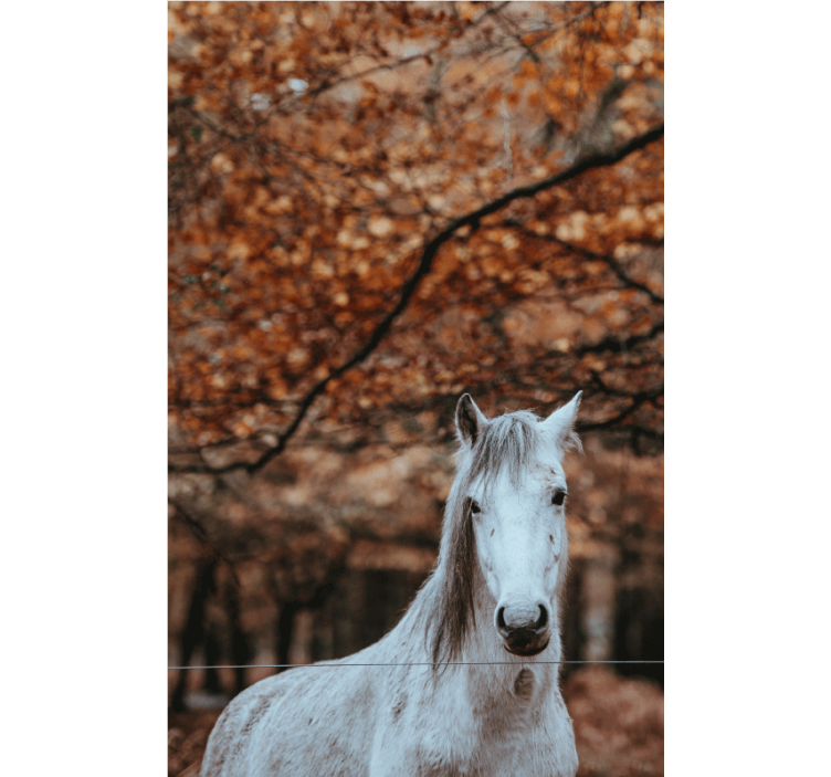 Cavalo em folhas de outono fotomural de parede - TenStickers