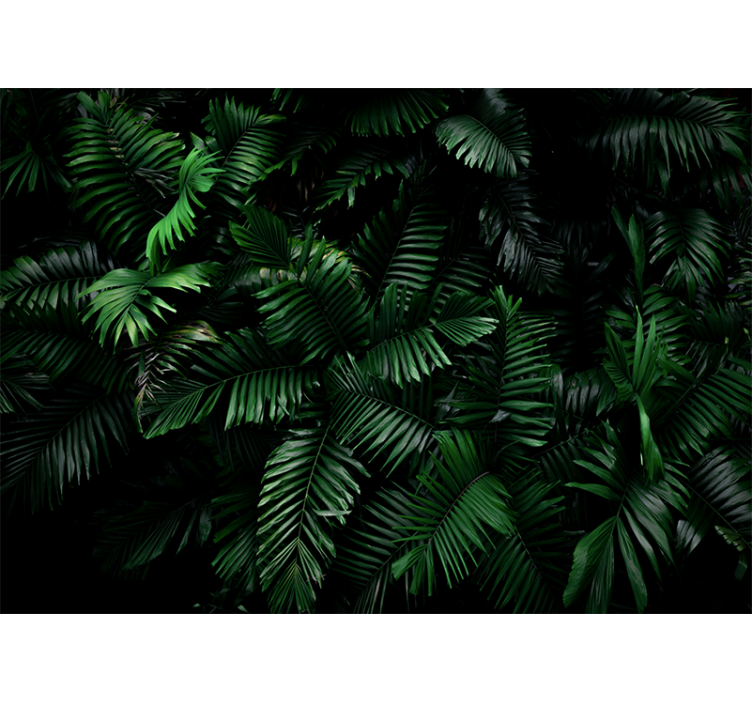 Fotomurais modernos Plantas tropicais - TenStickers
