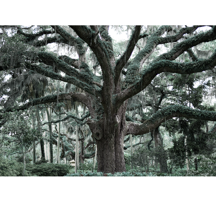 Mural de parede de árvores majestosos ramos de carvalho - TenStickers