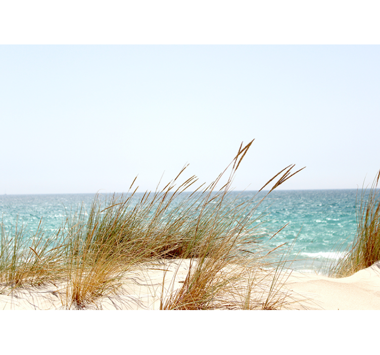 Mural de parede natureza vista tranquila da costa - TenStickers