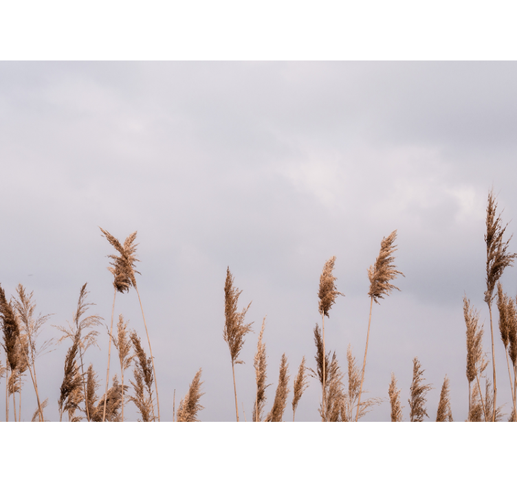Mural de parede de árvores silhuetas de grama alta - TenStickers