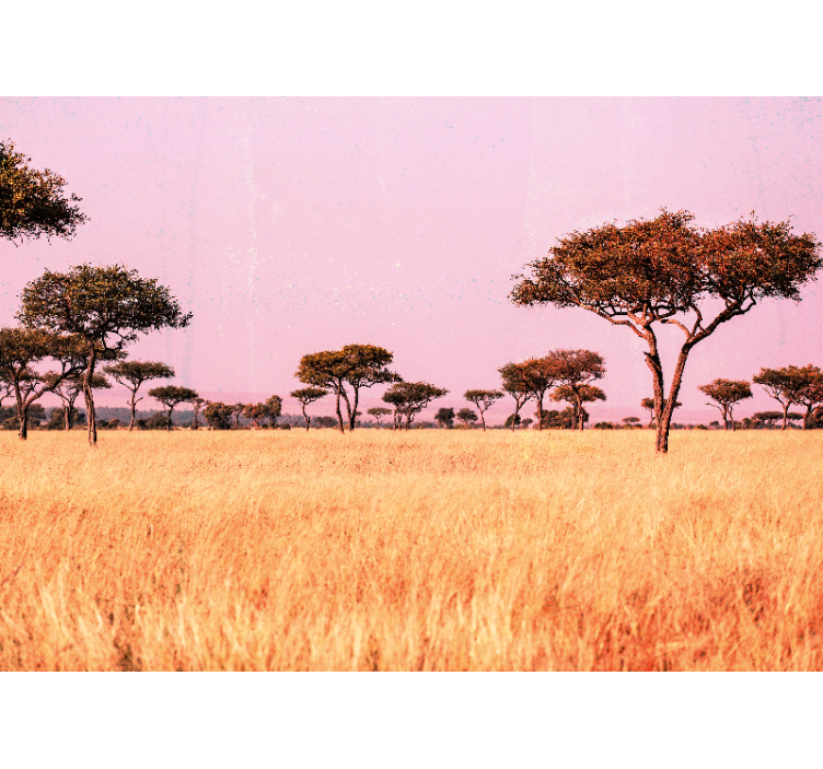 Fotomurais de paisagens Savana africana original - TenStickers