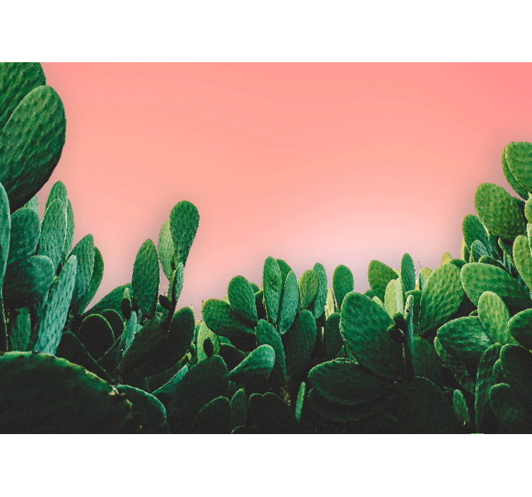 Mural de parede natureza paisagem de cactos - TenStickers