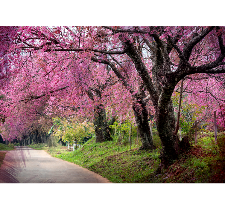 Fotomurais flores caminho das flores - TenStickers