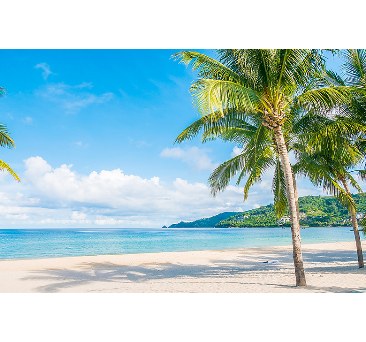 Fotomurais de paisagens Fotografia estética de sol de verão - TenStickers