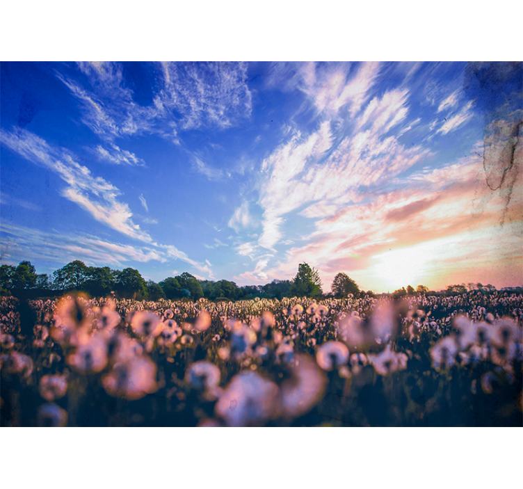 Fotomurais de paisagens Luz do sol na estética da natureza - TenStickers