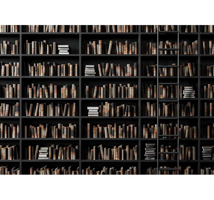 Mural de parede pedra assortimento de livros - TenStickers