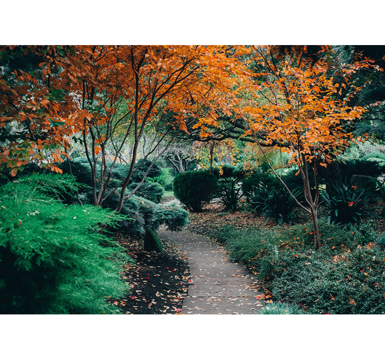 Mural de parede natureza caminho entre Árvores - TenStickers