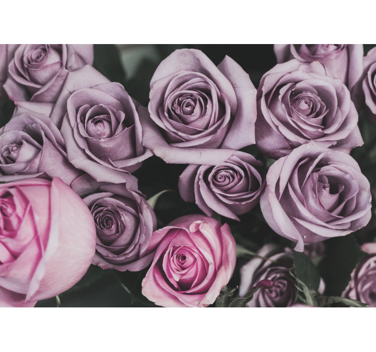 Fotomurais flores Desenho de rosas cor de rosa com estilo elegant - TenStickers