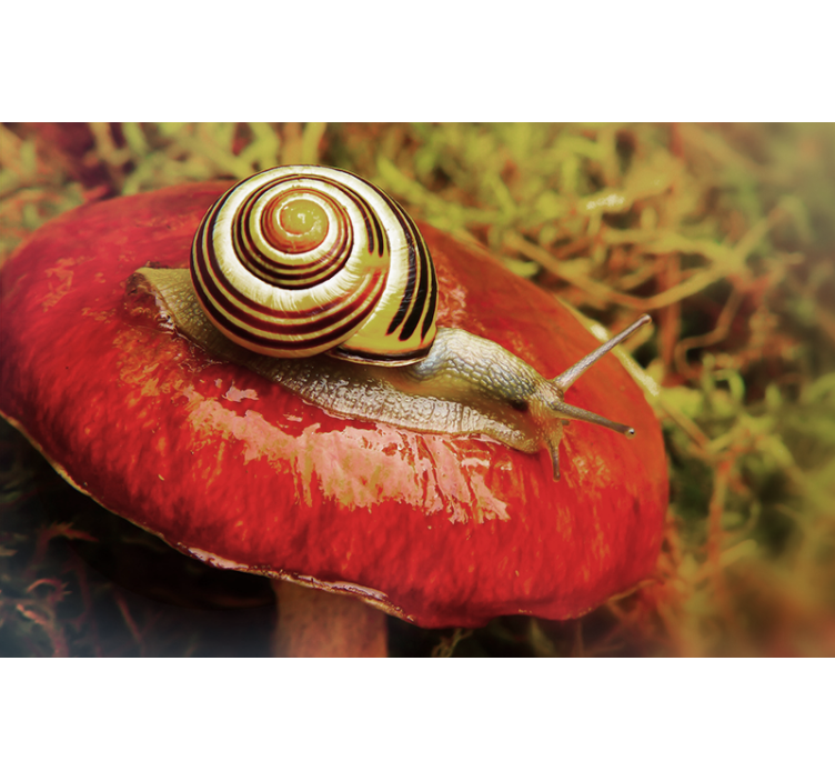 Fotomurais de paisagens Caracol em um cogumelo vermelho - TenStickers