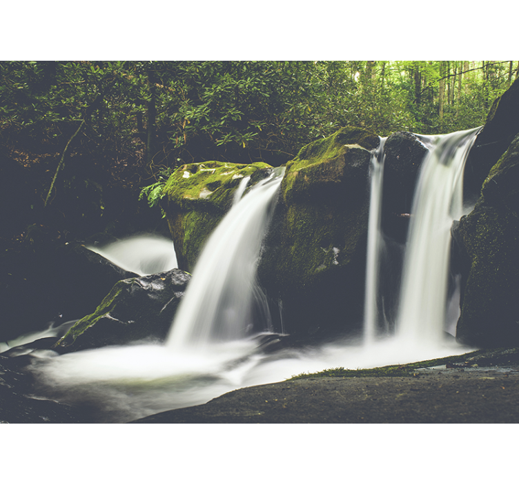 Fotomurais de paisagens Cachoeira da natureza da floresta - TenStickers