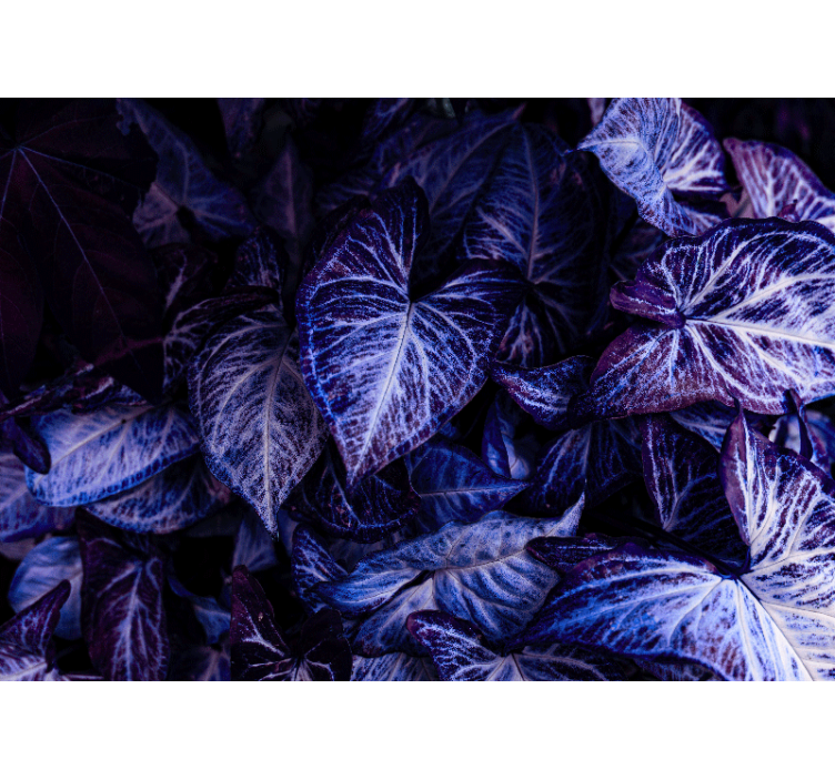 Mural de parede para a sala padrões de folhas roxas - TenStickers