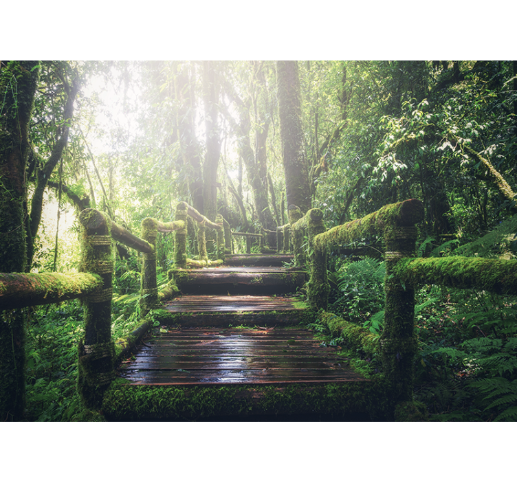 Mural de parede natureza trilha verdejante na floresta - TenStickers