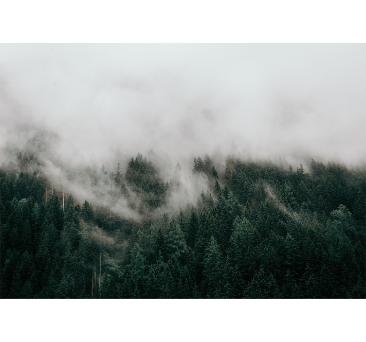 Mural de parede bosques paisagem de floresta nebulosa - TenStickers