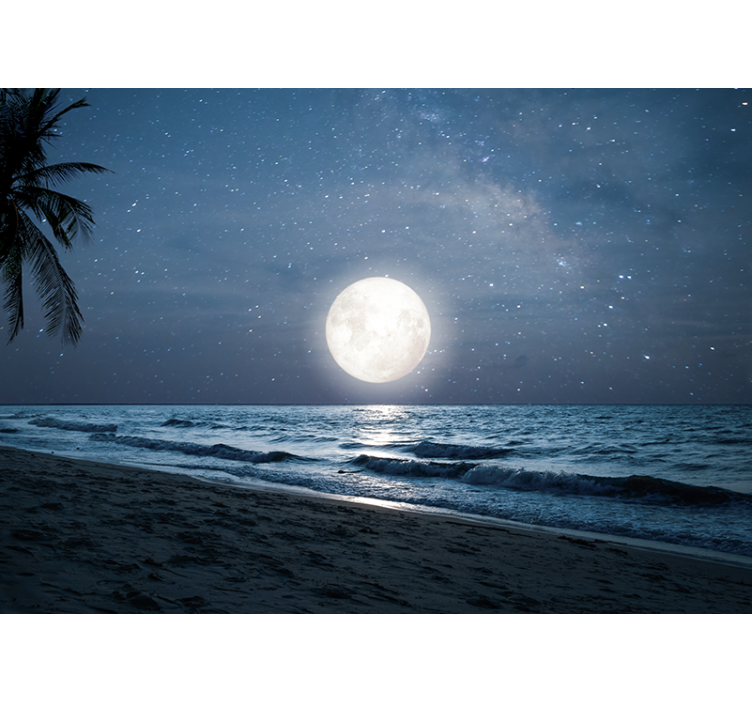 Fotomurais de paisagens Lindo luar sobre o oceano lua cheia - TenStickers
