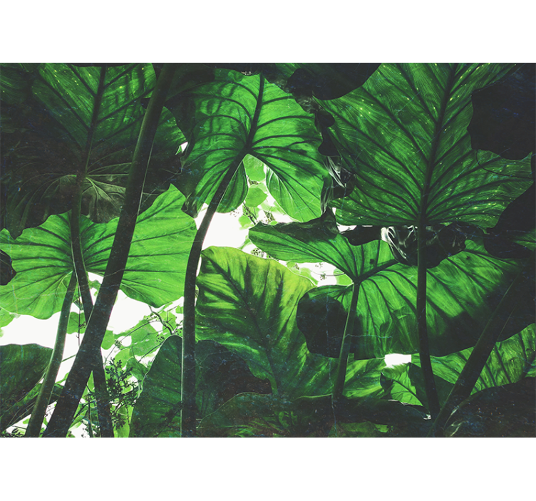 Mural de parede natureza dossel de folhas luxuriante - TenStickers