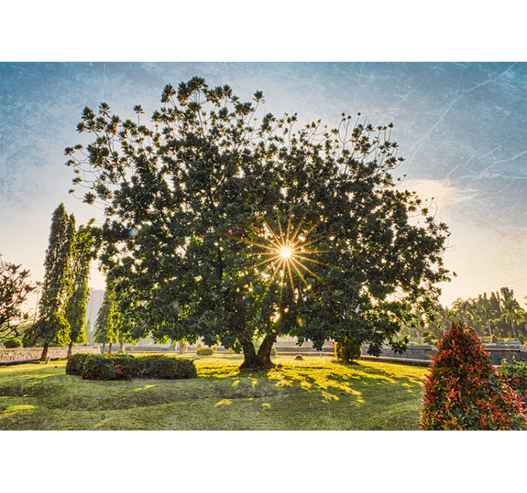 Mural de parede natureza vista da Árvore solar - TenStickers