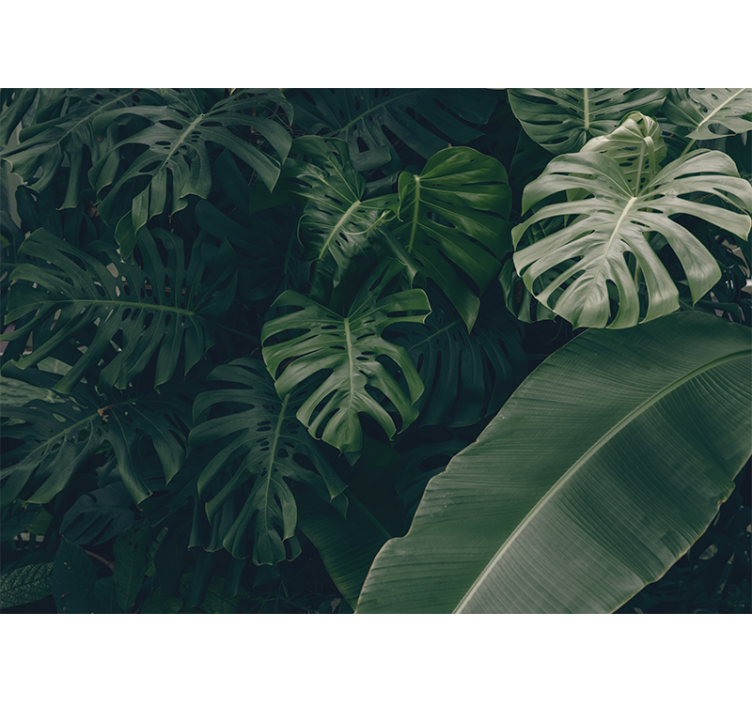 Mural de parede natureza folhagens tropicais vibrantes - TenStickers