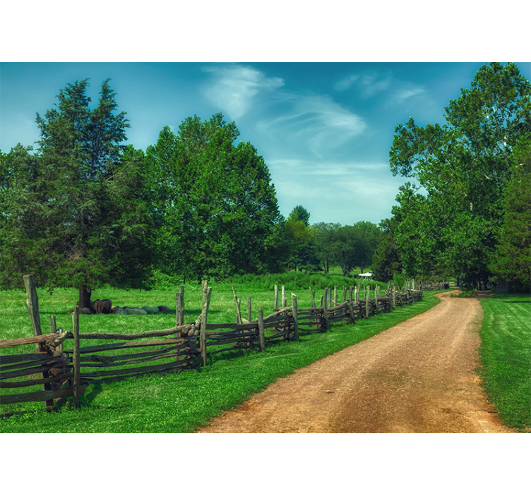 Fotomurais de paisagens caminho verde vibrante - TenStickers