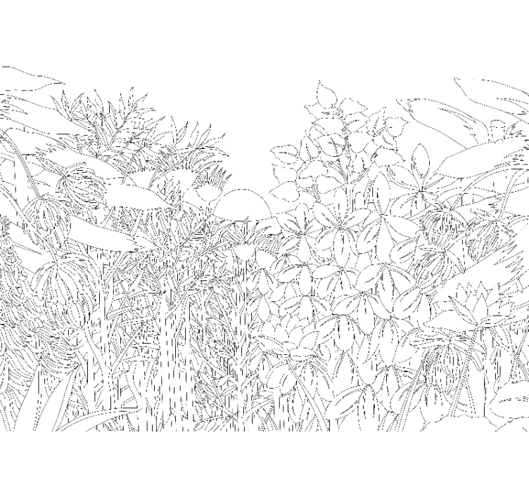 Fotomurais de paisagens Esboço da selva tropical - TenStickers