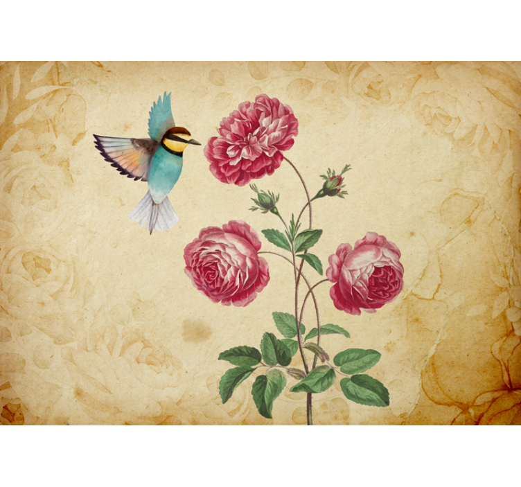 Fotomurais flores colibri e rosas - TenStickers