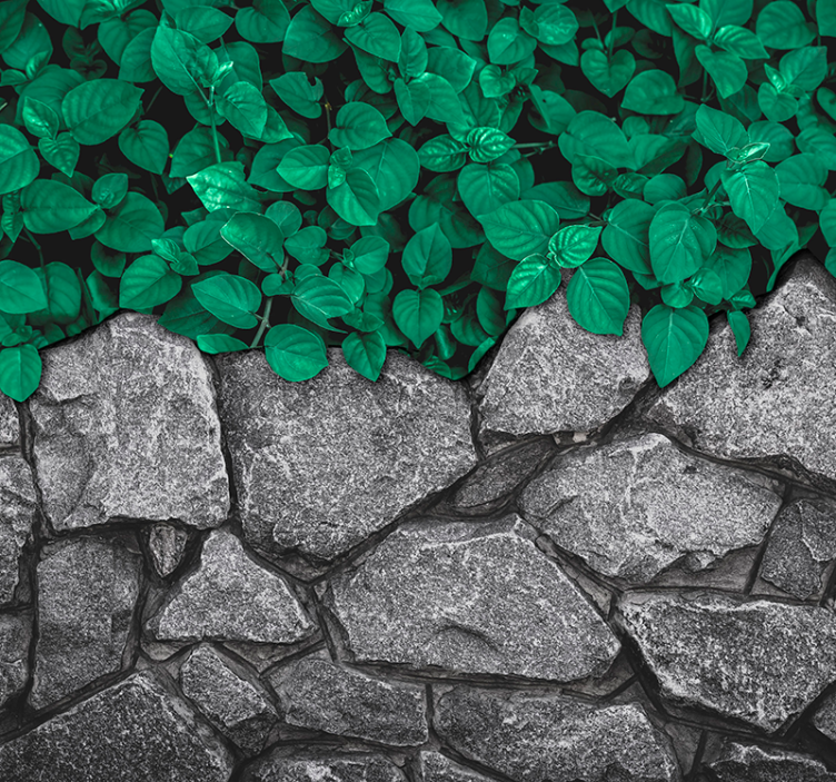 Mural de parede natureza contraste de vegetação exuberante - TenStickers